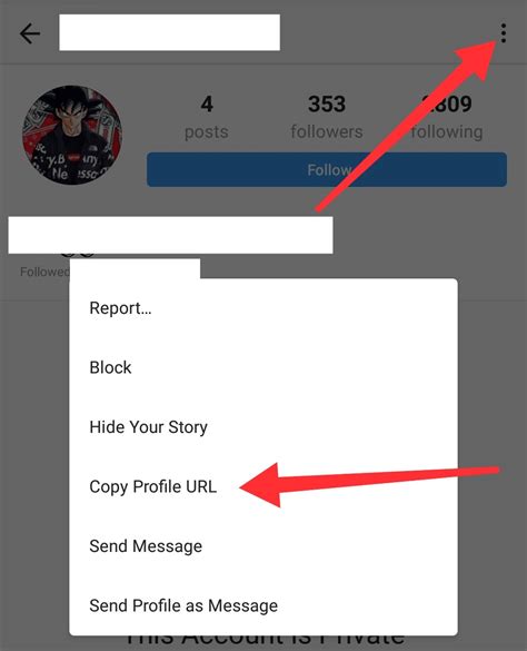 stalker instagram online|Instagram story viewer